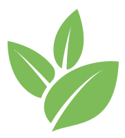 Strive Shrub Trimming