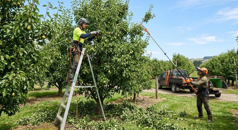 Apple Tree Pruning in Pottstown, PA