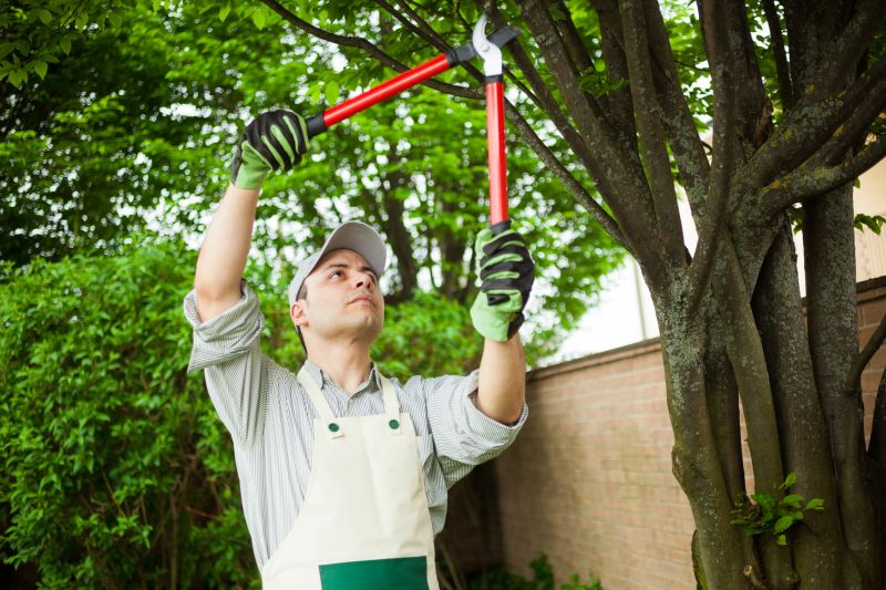 Tree Branch Cutting in Pottstown, PA