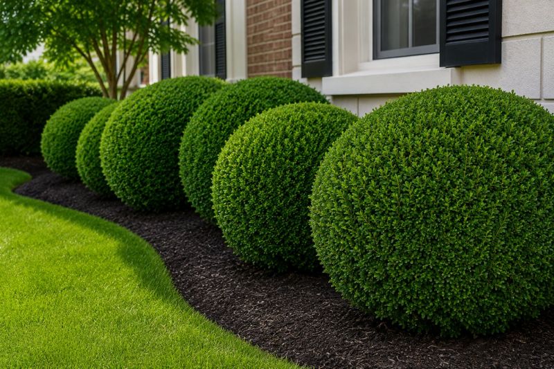 Bush Pruning in Honolulu, HI