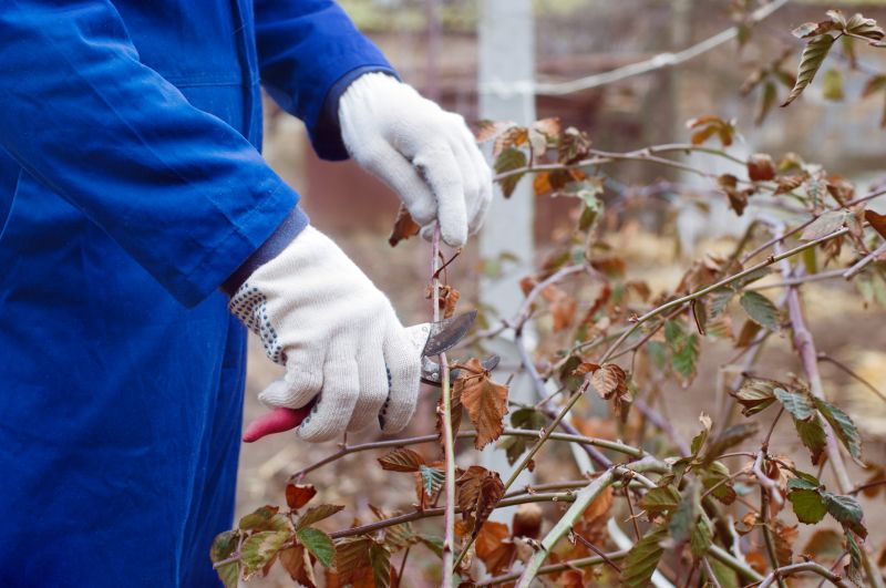 Bush Pruning in Rockwall, TX