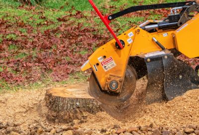 Bush Stump Grinding in Waldorf, MD