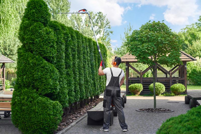 Commercial Shrub Trimming in Aiken, SC