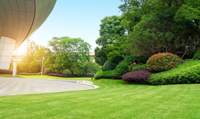 Commercial Shrub Trimming in Rockwall, TX