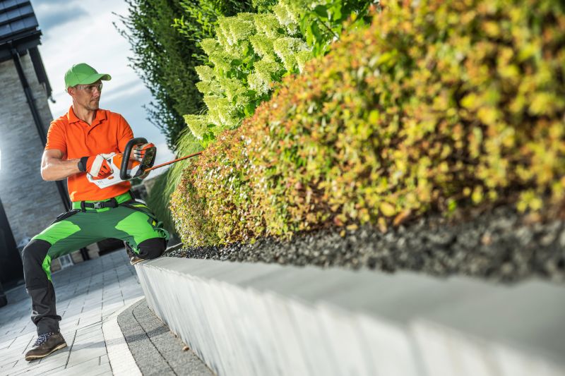 Commercial Shrub Trimming in Ventura County, CA