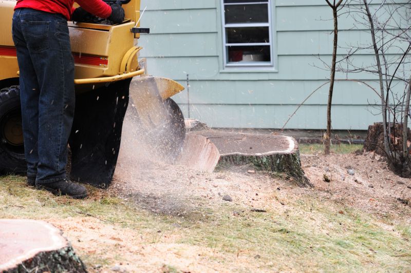 Commercial Stump Grinding in Allentown, PA