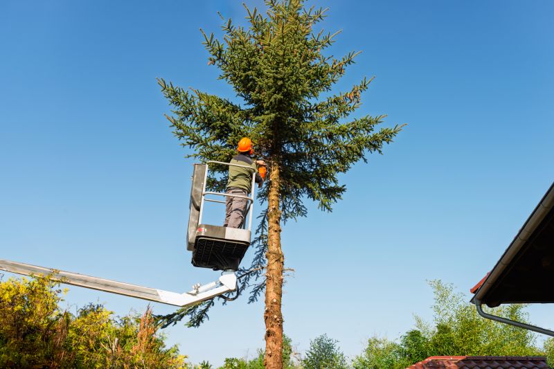 Commercial Tree Trimming in Doylestown, PA