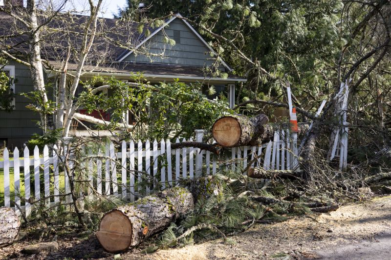 Emergency Tree Removal in Pottstown, PA