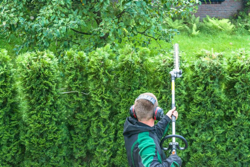 Evergreen Hedge Trimming in Aiken, SC