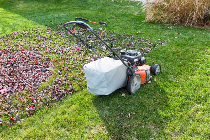 Professional Lawn Maintenance Image 3