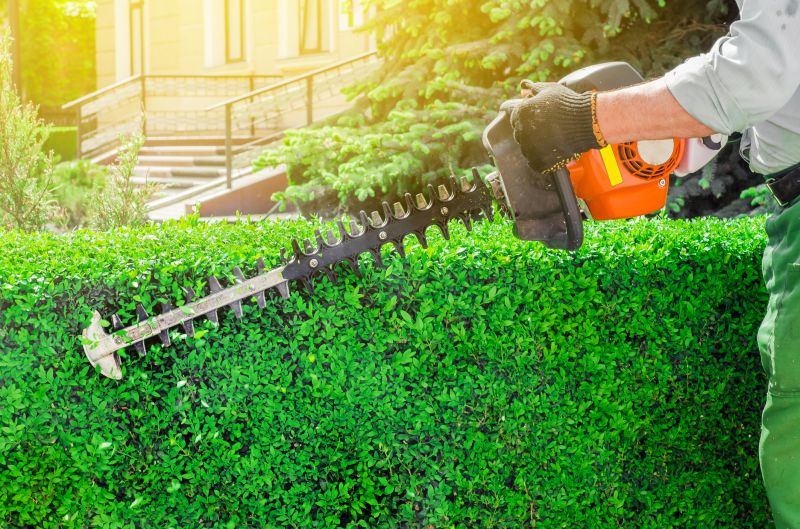 Hedge Pruning in Rockwall, TX