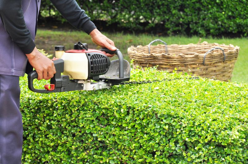 Hedge Removal Service in Ventura County, CA