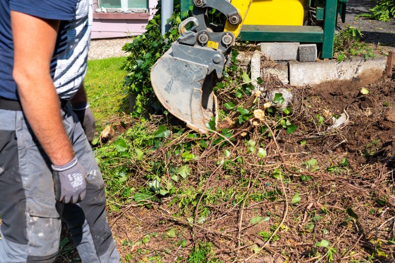 Hedge Removal Service in Honolulu, HI