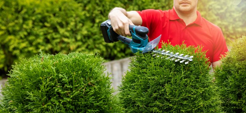 Hedge Shaping Service in Rockwall, TX