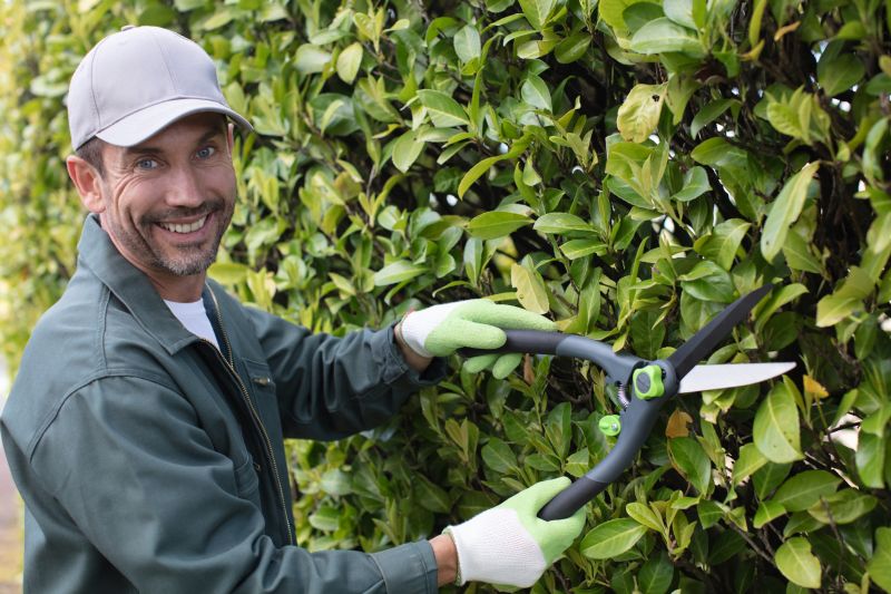 Honeysuckle Trimming in Ventura County, CA