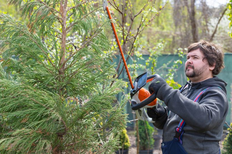 Juniper Pruning in Rockwall, TX