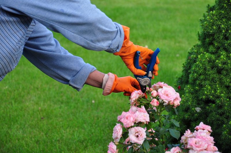 Shrub Pruning in Honolulu, HI