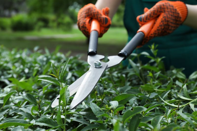 Shrub Pruning in Rockwall, TX