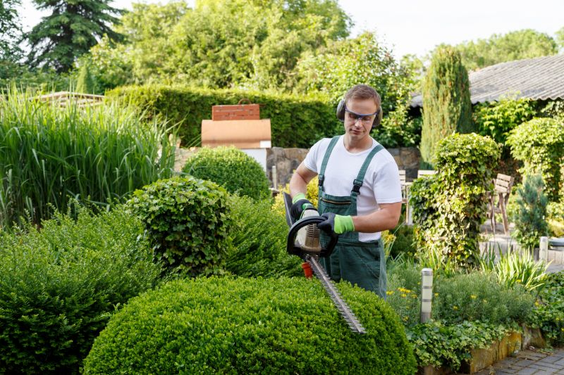 Shrub Shaping in Honolulu, HI