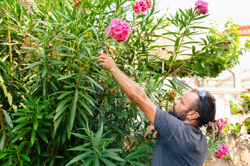 Shrub Trimming in Ventura County, CA