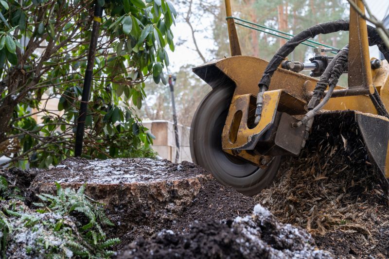 Stump Cutting in Calvert County, MD