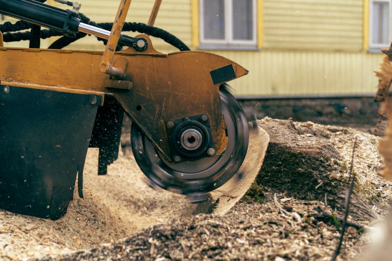 Stump Grinding Service in Calvert County, MD