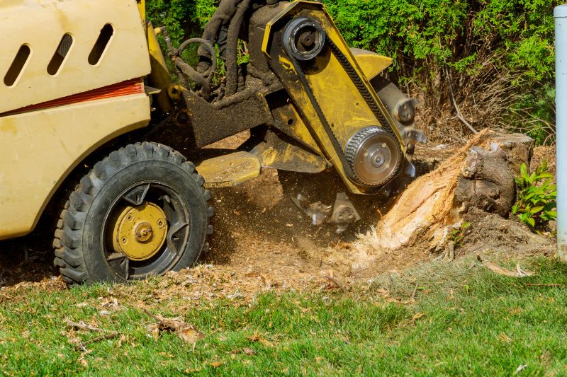Stump Grinding Service in Waldorf, MD