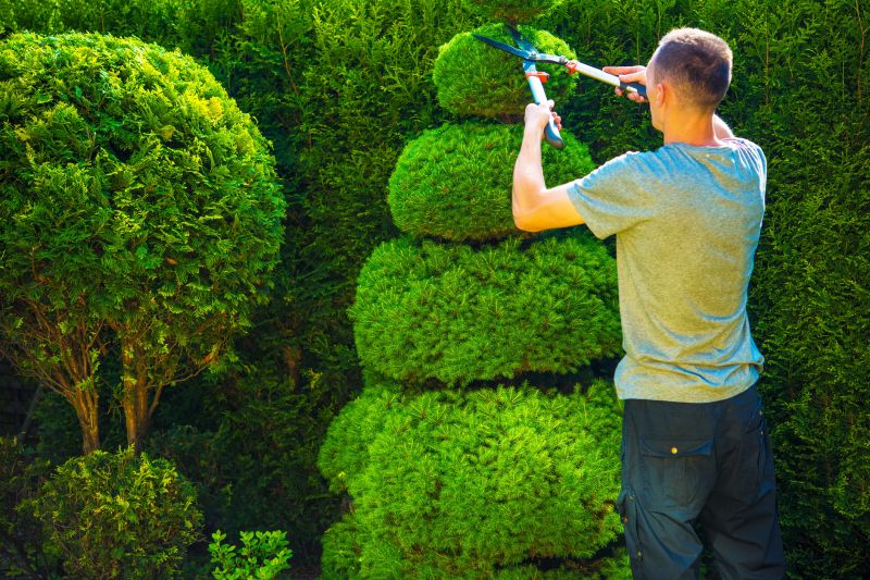 Topiary Shaping in Rockwall, TX