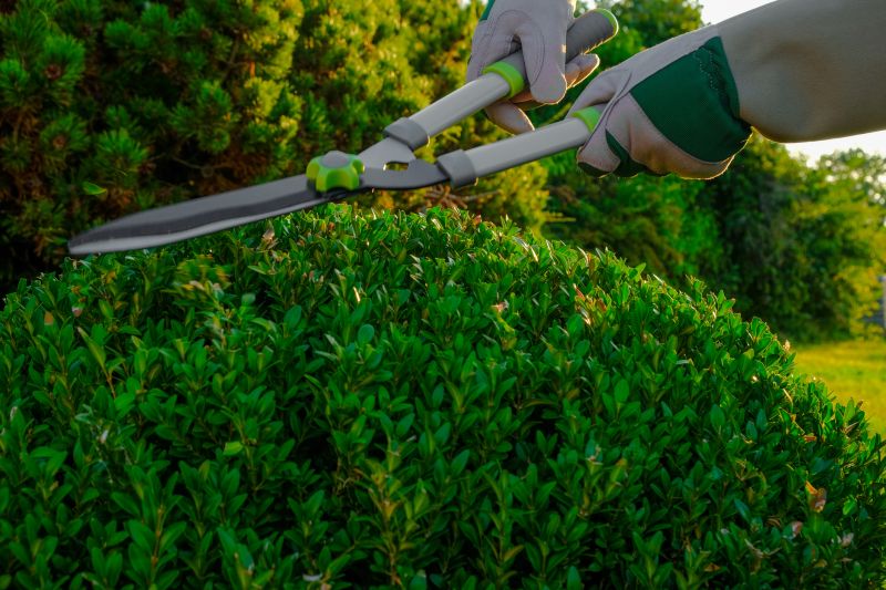 Topiary Shaping in Rockwall, TX