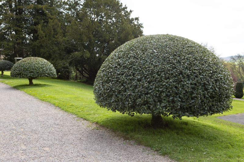 Topiary Shaping in Aiken, SC